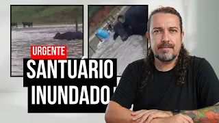 URGENTE: Santuário Vale da Rainha está embaixo d’água – há animais desaparecidos
