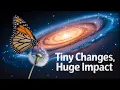 Download Lagu The Butterfly Effect: How Meditation Can Change the World