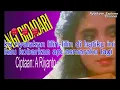 Download Lagu Rina Savista - PELANGI BIDADARI //  Teks Lirik