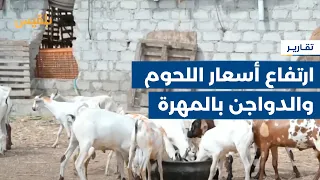 المهرة ارتفاع أسعار اللحوم والدواجن يحرم العديد من الأسر تناولها تقرير ياسر محمد 