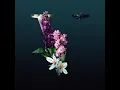 Little Voices (Anderholm Remix) - Lane 8
