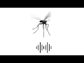 Download Lagu EFEK SUARA NYAMUK MENGGANGGU 1 JAM/ANNOYING MOSQUITO SOUND EFFECT 1 HOURS