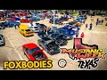 FOX S at the pyramids Mustang Week Texas 2025
