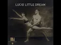 Lucid Little Dream - MDJ Matthias de Jaeger
