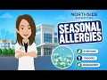 Spring and Summer Allergies How to Manage Symptoms