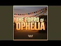 Lagu The Forró of Ophelia