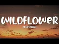 Billie Eilish - WILDFLOWER (Lyrics)