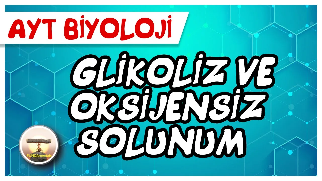 AYT Biyoloji | Glikoliz ve Oksijensiz Solunum #sayfa170