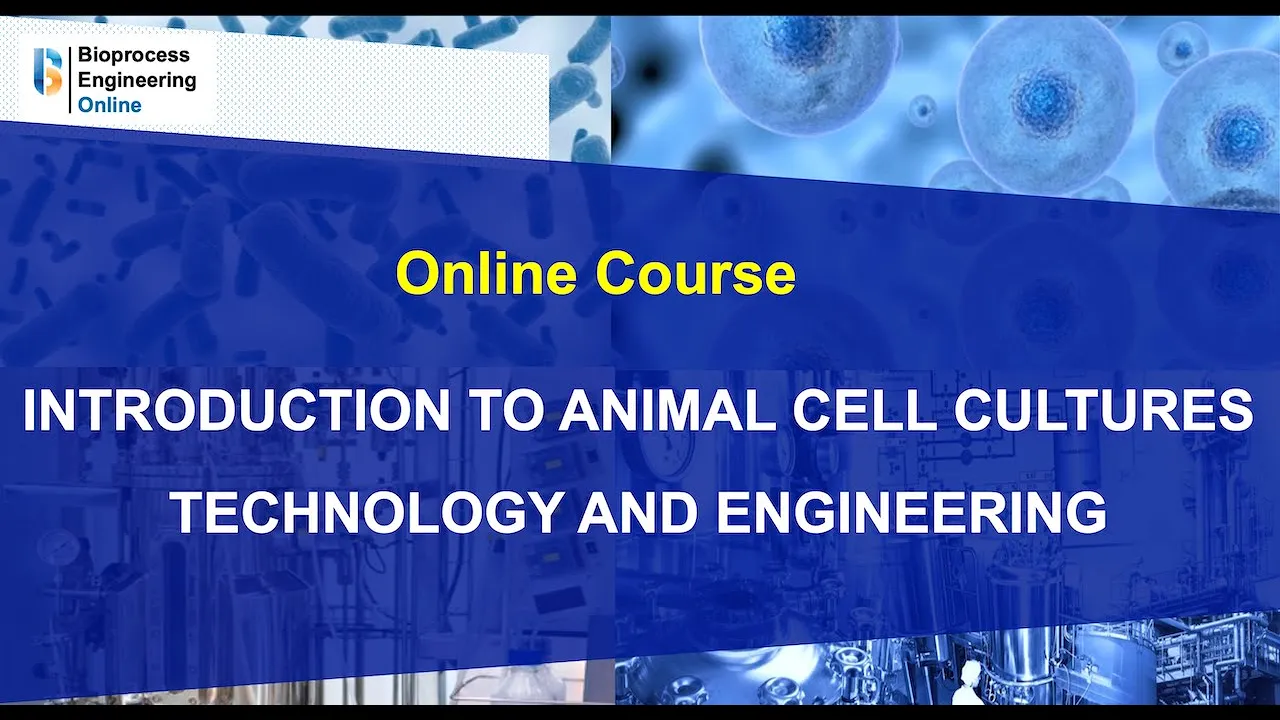 Online course Introduction to animal cell cultures technology and engineering