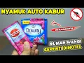 Download Lagu KENAPA TIDAK DARI DULU COBA CARA INI! Pengharum ruangan pengusir nyamuk