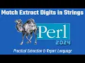Perl Programming Regex Match Extract Numbers In Strings Project 2024