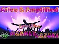 Download Lagu Alive and Amplified | Mooney Suzuki | Lyric Video 🎶