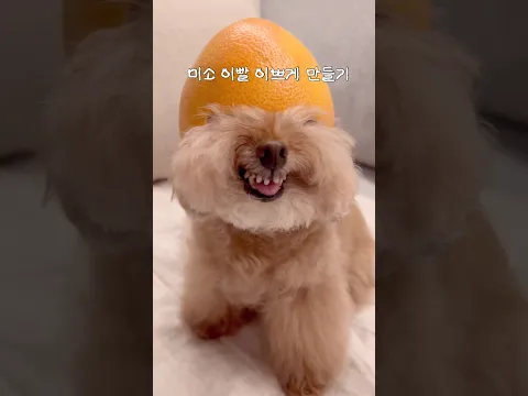 미소 치아 이쁘게 만들기