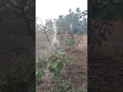 #صلوا_على_النبي