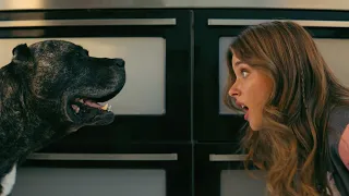 أمها بتتجوز راجل جديد فبتضطر تنقل وتعيش معاها ولما بتشوف إبن جوز أمها بتقع فى حبه ملخص فيلم 