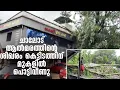 Download Lagu ചാലോട് ആല്‍മരത്തിന്റെ ശിഖരം കെട്ടിടത്തിന് മുകളില്‍ പൊട്ടിവീണു