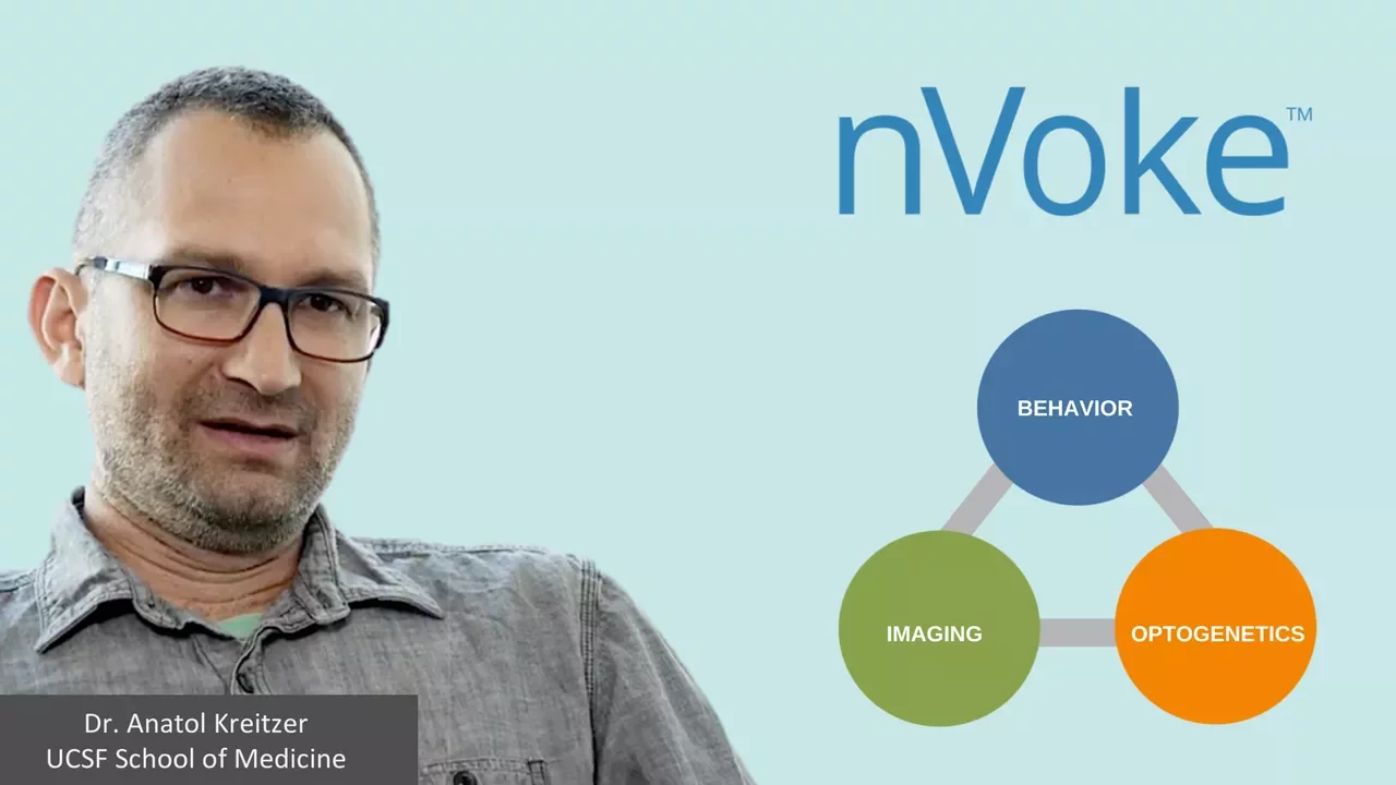 Integrated imaging and optogenetics: nVoke