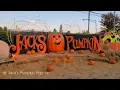 Jack s Pumpkin Pop Up Vlog
