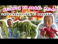 Download Lagu BELANJA KE BERBAGAI TOKO PERSIAPAN MASAK2 BUAT ARISAN