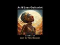 Evil Needle - Lost In This Moment - Acid Jazz Guitarist GTRMX 07