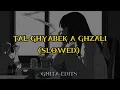 𝐂𝐇𝐄𝐁 𝐇𝐀𝐒𝐍𝐈 - 𝐓𝐀𝐋 𝐆𝐇𝐘𝐀𝐁𝐄𝐊 𝐀 𝐆𝐇𝐙𝐀𝐋𝐈 (𝐒𝐋𝐎𝐖𝐄𝐃)