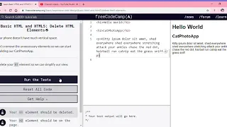 Learn Basic HTML and HTML5 Delete HTML Elements freeCodeCamp