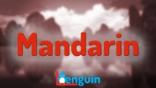 Master Mandarin Chinese: Comprehensive Video Course