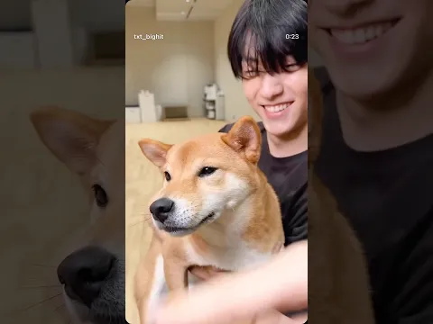 Of course, I want to be that dog.🥹 #soobin #수빈 #txt #tomorrow_x_together #hueningkai #taehyun