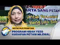 Download Lagu Program Dana Hibah YESS, Harapan Petani Milenial