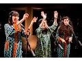 Download Lagu A-WA - Full Performance (Live on KEXP)