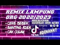 REMIX LAMPUNG II CERE BEBEK BANTING ADEK DAN REMIX LAMPUNG LAINYA BERSAMA VJ DIRJA DAN RENO