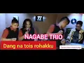 Download Lagu NAGABE TRIO//DANGNA TOIS ROHAKKU//COVER LAGU BATAK TELARIS