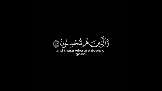 قران كريم شاشة سوداء ماهر المعيقلي 