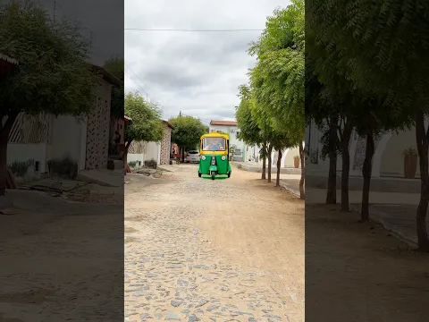 Onibus maluco #viralvideo #shorts