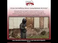 Stop Gang Violence Report Anonymously and Earn a Cash Reward Crime Stoppers of Tampa Bay