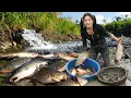 Download Lagu 72 Hours Harvesting 10,000+ Dozens of Giant Fish in Countryside River 🌿 | Ly Tieu Lam