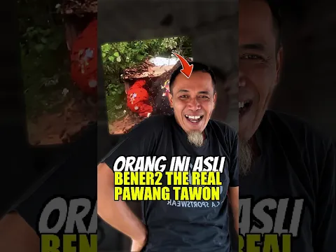 orang ini bener bener the real pawang tawon #shorts