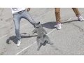 Download Lagu Aaron's Animals - Cat Whips it.