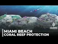 Cement cars form new coral reef park Miami reef revival driven by art and science