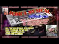 Download Lagu Karaoke No Vocal Puput Tiffany Cinta Terlarang Cover KN7000