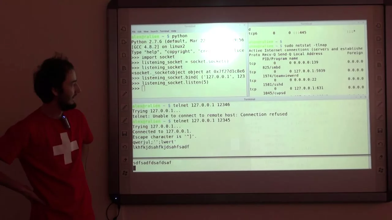 Network programming, lesson 1.1 - BSD sockets in Python