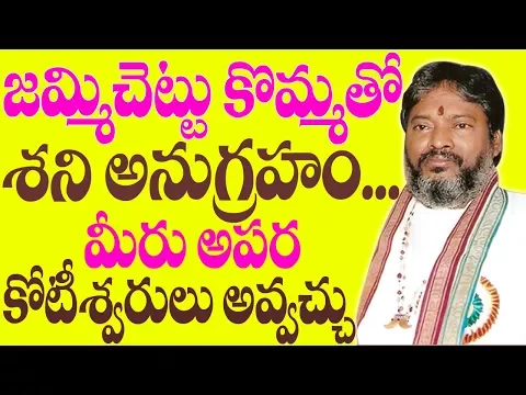 జమ్మిచెట్టు కొమ్మతో శని అనుగ్రహం మీరు అపారకోటీశ్వరులుఅవ్వచ్చు | Sani Dosha Nivarana Remedies in 2018