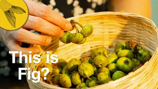Dumur'er Dalna—Bengali Vegetarian Recipe with Green Figs