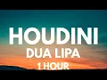 Download Lagu Dua Lipa - Houdini [1 HOUR LOOP]