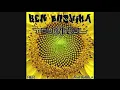Ken Bushima - Tournesol