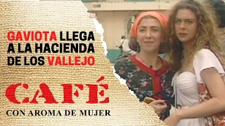 gaviota y su mam llegan a la hacienda de los vallejo caf con aroma de mujer 1994