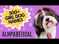 500 Female Dog Names for Every Letter of the Alphabet Alphabetical Female Dog Names