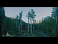 Hereditary OST - Reborn [Extended]