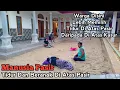 Download Lagu MANUSIA PASIR Tidur Dan Beranak Di Atas Pasir Rumah Mewah Disini Kamar Tidurnya Pasir Bukan Kasur