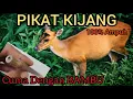 Download Lagu SUARA PIKAT KIJANG (Versi #2)